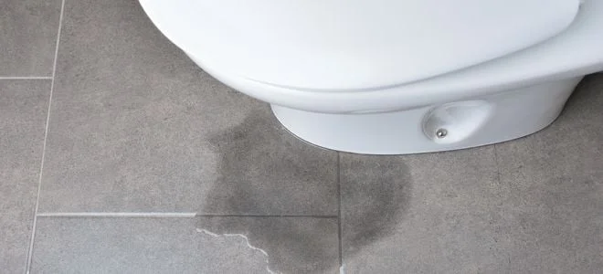 туалет с загадочной водой возле основания